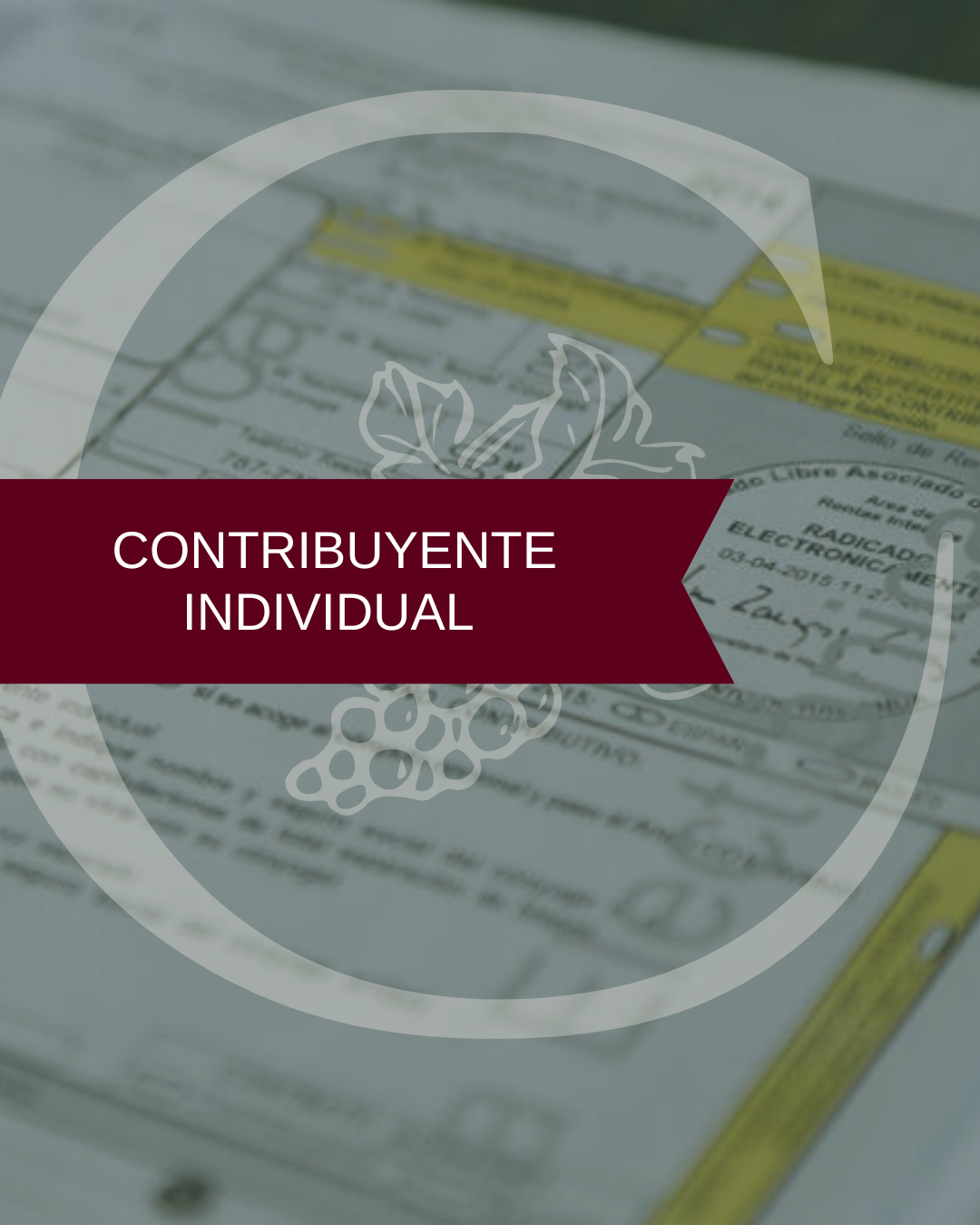 Reserva de espacio • Contribuyente Individual • Planillas • Temporada de Impuestos • Puerto Rico